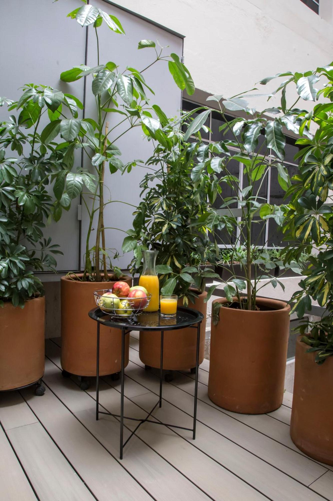 Casa Juliana Bed & Breakfast Mexico City